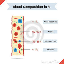 Composition Of Whole Blood