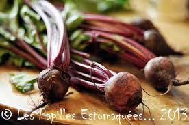 la betterave dite potagere est celle que l on utilise en cuisine c est un legume racine de la famille des betterave recette cotes de blettes legumes racines