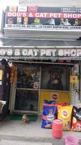 However, nobody wants to overpay for a purchase. Dogs And Cat Pet Shop Aashiyana Pet Shops In Lucknow Justdial
