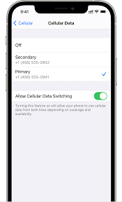 When you insert the empty sim card tray into your iphone, the activation will start. Using Dual Sim With An Esim Apple Support