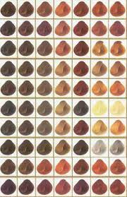 Surya Henna Powders Http Www Internatural Com Scat Php Link Suryahenna 495d Id 11891 Henna Powder Light Mountain Henna Henna Hair Color