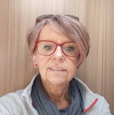 Welsh terrier for Adoption and rehoming