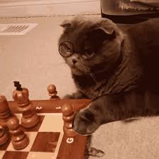 Makanya begitu ramai dan rektorat ditanya banyak orang kan rektorat enggak bisa jawab harus klarifikasi dulu ini ada apa, dipanggil lah itu, katanya. Chess Gifs Tenor