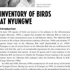 Image result for Pavetta pierlotii