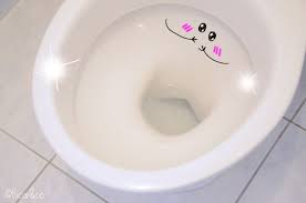 Gel Wc Maison Homemade Gel Toilet