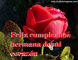 Envíele una imagen gif animada con la inscripción «¡feliz cumpleaños hermana!». 9 Imagenes Hermosas De Feliz Cumpleanos Hermana Con Rosas
