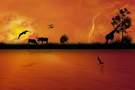 Safari Desktop Wallpapers Top Free Safari Desktop Backgrounds Wallpaperaccess