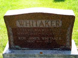 Biography for WW1 Veteran Roy Wesley James Whitaker, Air Force