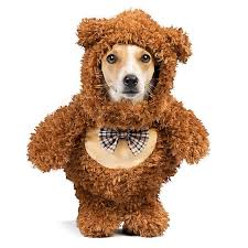Thrills Chills Halloween Teddy Bear Walker Pet Costume
