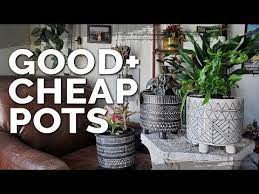 Cheap Plant Pots Homegoods Vs T J Maxx Vs Dollartree Youtube In 2021 Cheap Plant Pots Cheap Plants Greenhouse Supplies