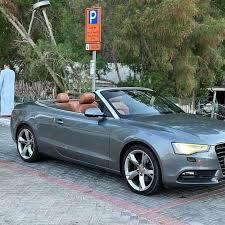 Image result for Cool Silver 2013 A5