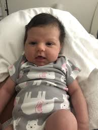 Lavender may avery HD wallpapers