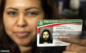 52 Matricula Stock Photos, High-Res Pictures, and Images