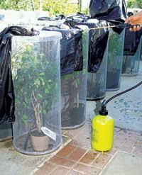 This entry was posted in reptile cages and tagged 461 ocean boulevard, cal ripken jr, homemade reptile cages, homemade reptile cages plans, lianne mcleod, ocean boulevard, radioactive boy scout, sugar glider, sugar gliders, view full source by pete. How To Build Your Own Chameleon Lizard Cage Reptiles Magazine