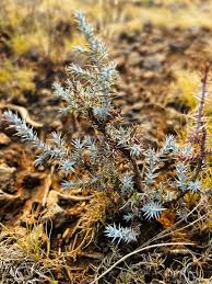 Geri' Myers Goodwin (@GMyersGoodwin)