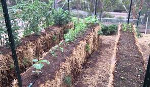 Hay And Straw Bale Gardening Everything You Wanted To Know For The Best Bounty Ever Hay Bale Gardening Straw Bale Gardening Strawbale Gardening