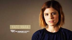 House of the card is a netflix political drama in which she plays her role as a zoe barnes reporter. Kate Mara Fun Facts 15 Things You Didn T Know About The Actress Cleveland Com