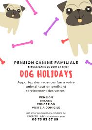 Dog Holliday- Visites à domicile chats/chiens/nacs et promenades canines
