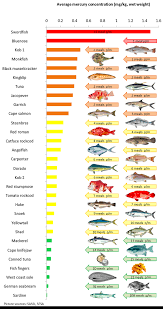 51 True Mercury In Fish Chart