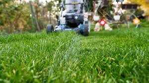 Making the comprehensive list of best battery powered lawn mowers was a challenging task. Best Electric Lawn Mowers 2021 Top Rated Cordless Mowers Top Ten Reviews