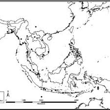 Image result for Psophocarpus lancifolius