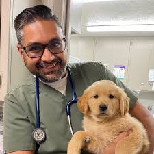 Meet The Team At 5 Points Companion Animal Hospital