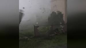 Production and farming structures as a result of bad weather (tornado in ragusa province, 27 january 2005). Qrc00unq9xijem