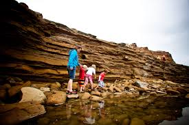 8 San Diego Tide Pools To Explore With Kids