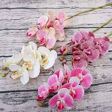 When you find the perfect gift, you can easily order online or call us directly. Buy 3d Artificial Butterfly Orchid Flowers Fake Moth Flor Orchid Flower For Home Wedding Diy Decoration At Affordable Prices Free Shipping Real Reviews With Photos Joom