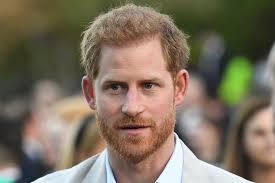 He is the younger son of prince charles and the late princess diana. Prince Harry Mentions Brother William Ahead Of Statue Unveiling Evening Standard