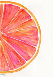 Use wet on wet, wet on dry and dry brush watercolors techniques. Art Painting Easy Grapefruit Watercolor Painting Fruit Series By Sharonfosterart Risunok Art Painting