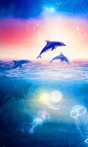 Maybe you would like to learn more about one of these? Aesthetic Dolphin Wallpaper Kolpaper Awesome Free Hd Wallpapers
