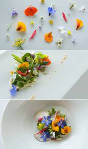 Google Image Result For Http Eatdrinkchic Com Assets Content Food Royalmail Jpg Edible Flowers Edible Flowers Recipes Flower Food