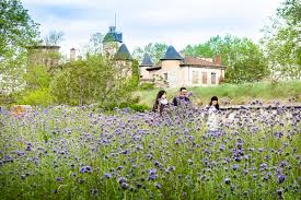 MET' – Parc Blandan : la partie haute est ouverte !