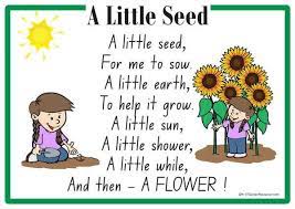 A Little Seed Rhyme A Printable Nursery Rhyme Great For Group Sentence And Word Reconstruction Activities Nursery Rhymes Activities Kids Poems Nursery Songs