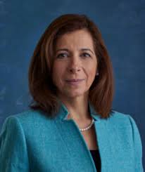 Maine Township High School District 207