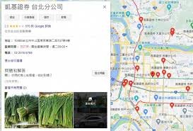 凱基證券成立於1988年，最初名為「中信綜合證券」（簡稱中信證券），資本額為新台幣10億元，主要股東包括中信辜家、嘉新水泥及華夏塑膠 。 1991年，成為台灣地區第一批取得中華民國公債交易執照之證券商，並曾以股號：6008的代號在台灣 店頭市場 上櫃交易。 Sbxxvd Qeyrszm