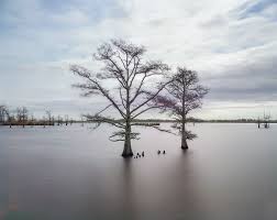 Louisianas Disappearing Coast The New Yorker