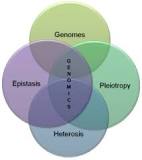 Image result for how genomic treatment works