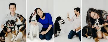 Pet air uk is a wonderful service. Contact Us Petrelocation