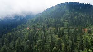 Fijian village with a focus on sustainability