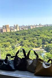 Image result for Soho Brown 2016 A1