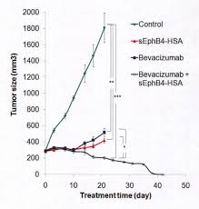 Collaboration is the key to success. Mesothelioma Chemotherapy Anti Angiogenesis