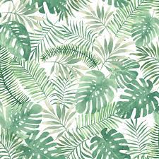 From tropical prints and bold colour combinations, to earthy tones and subtle prints, this on trend look is highly adaptable would make the perfect addition to any home be it period or ultra modern. Leaf Wallpapers Top Free Leaf Backgrounds Wallpaperaccess