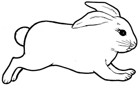 For boys and girls, kids and adults, teenagers and toddlers, preschoolers and older kids at school. Rabbit Outline Drawing For Kids Novocom Top