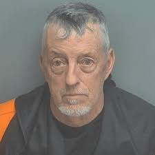 Bear Released Into the Wild After Roaming Through South Boston