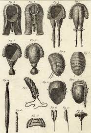 Perruquier Barbier Perruques Coiffure Encyclopedie Louis Xvi Gravure 18e Wigs Vintage Accessories Art