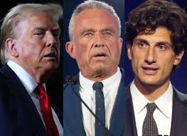 Liz Cheney/Adam Kinzinger Against Trump