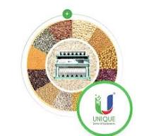 Elite Kidney Beans/Rajma Seed Colour Sorter Machine