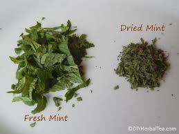 I also like to dry mixtures of herbs and package them in bags so i can give tea to friends and family as gifts. How To Make Mint Tea From Fresh Or Dried Leaves Diy Herbal Tea
